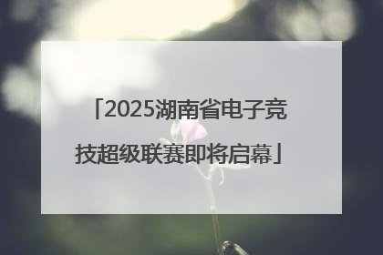 2025湖南省电子竞技超级联赛即将启幕