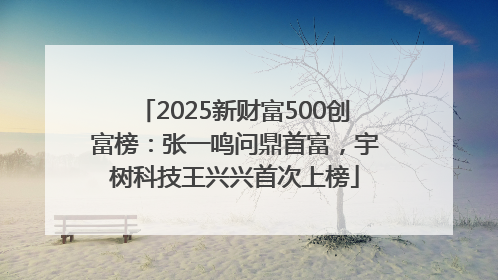 2025新财富500创富榜：张一鸣问鼎首富，宇树科技王兴兴首次上榜