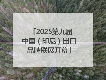 2025第九届中国（印尼）出口品牌联展开幕