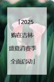 2025购在吉林·盛夏消费季全面启动