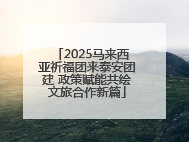 2025马来西亚祈福团来泰安团建 政策赋能共绘文旅合作新篇