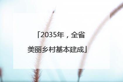 2035年，全省美丽乡村基本建成
