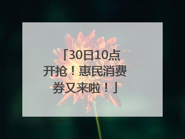 30日10点开抢！惠民消费券又来啦！