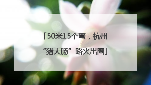 50米15个弯，杭州“猪大肠”路火出圈