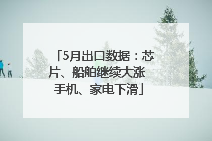 5月出口数据：芯片、船舶继续大涨 手机、家电下滑