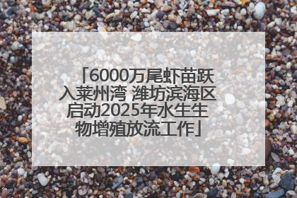 6000万尾虾苗跃入莱州湾 潍坊滨海区启动2025年水生生物增殖放流工作
