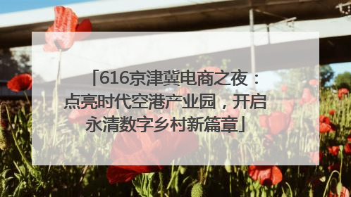 616京津冀电商之夜：点亮时代空港产业园，开启永清数字乡村新篇章