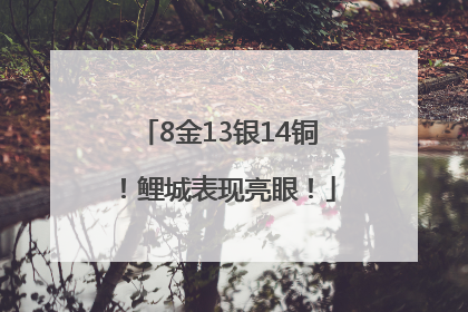 8金13银14铜！鲤城表现亮眼！