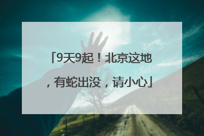 9天9起！北京这地，有蛇出没，请小心