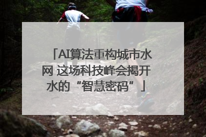 AI算法重构城市水网 这场科技峰会揭开水的“智慧密码”