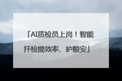 AI质检员上岗！智能扦检提效率、护粮安