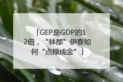 GEP是GDP的12倍，“林都”伊春如何“点绿成金”